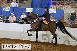 13r12_2887 proof