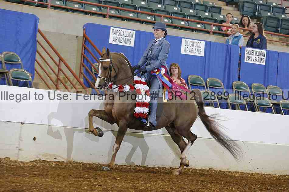 Proof 13r12_2889