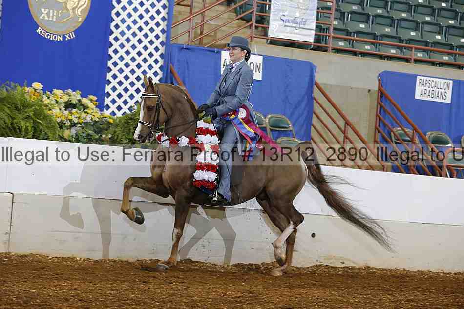 Proof 13r12_2890