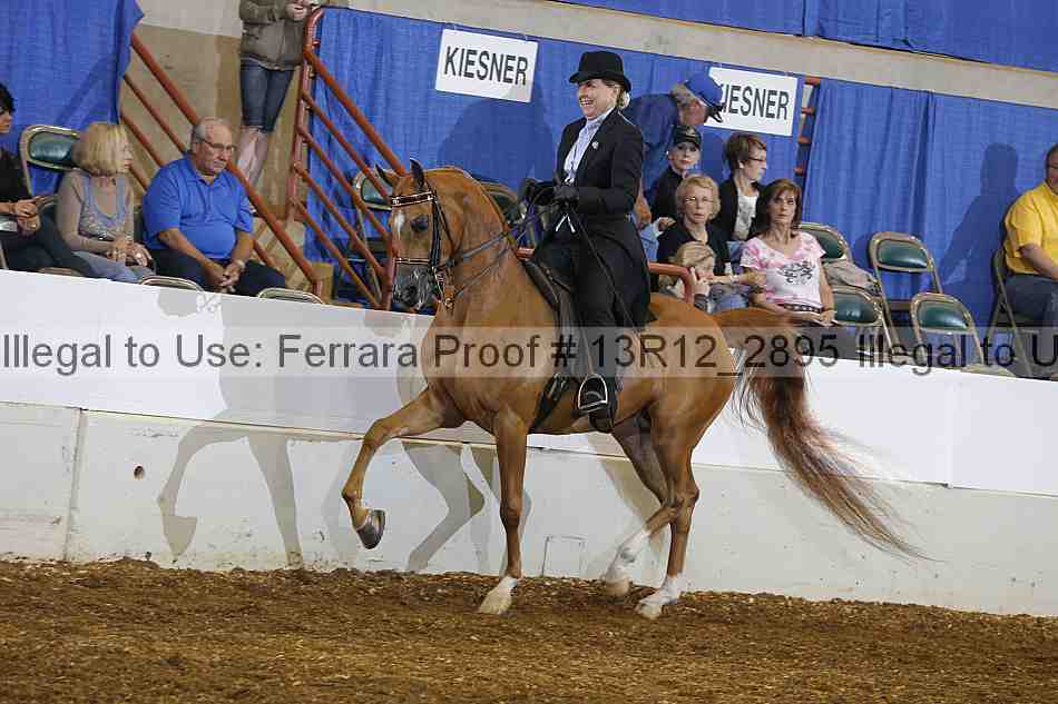 Proof 13r12_2895