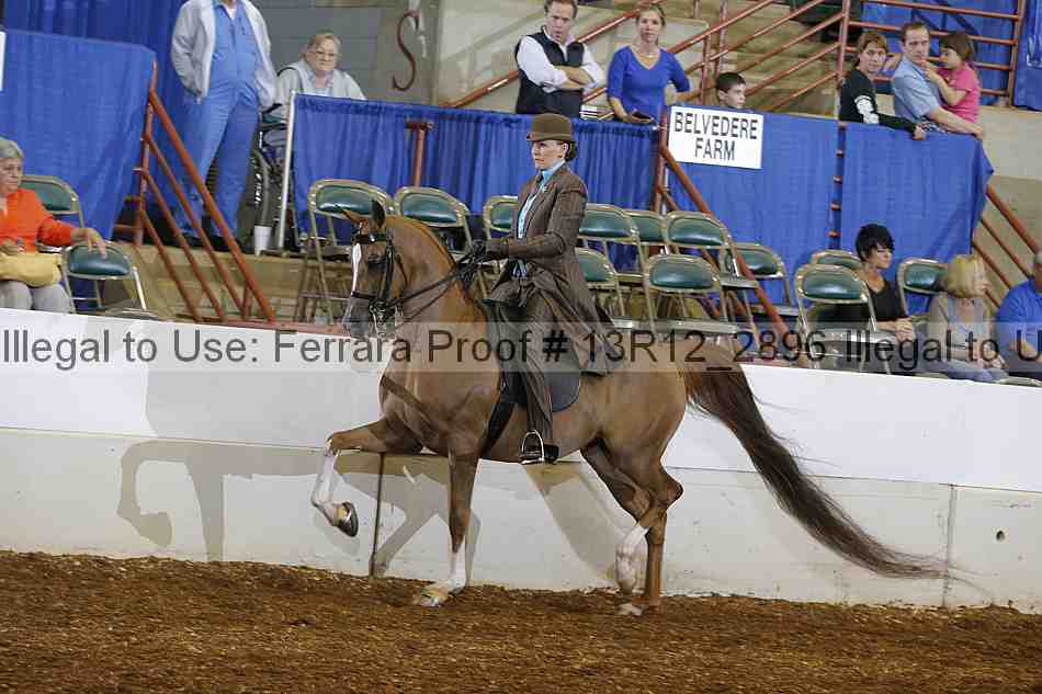 Proof 13r12_2896