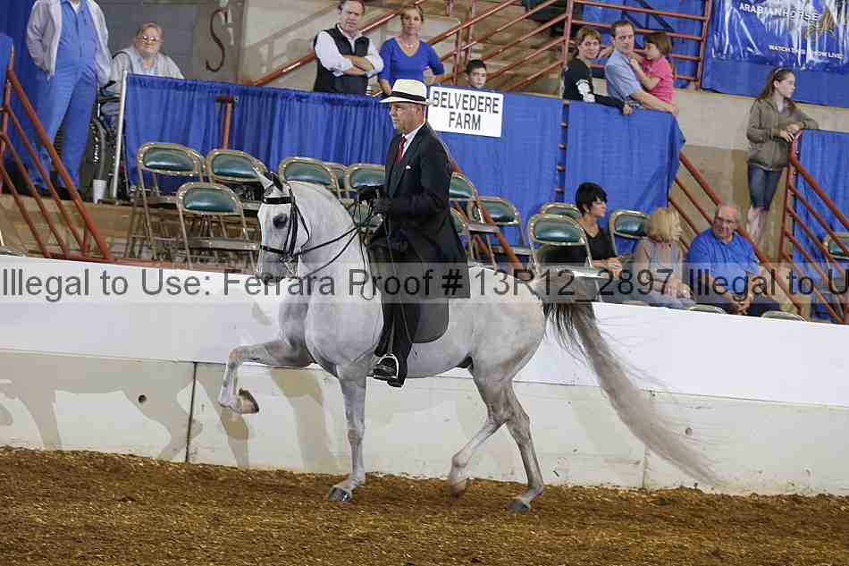 Proof 13r12_2897