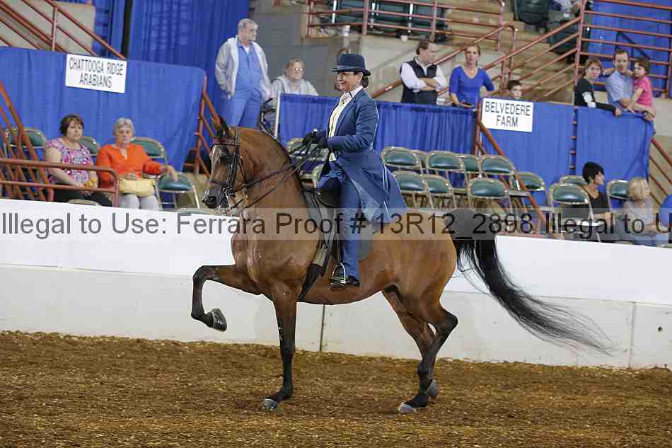 Proof 13r12_2898