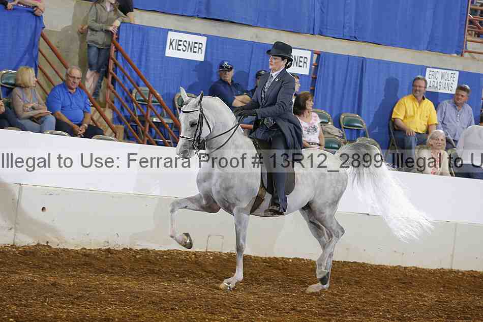 Proof 13r12_2899