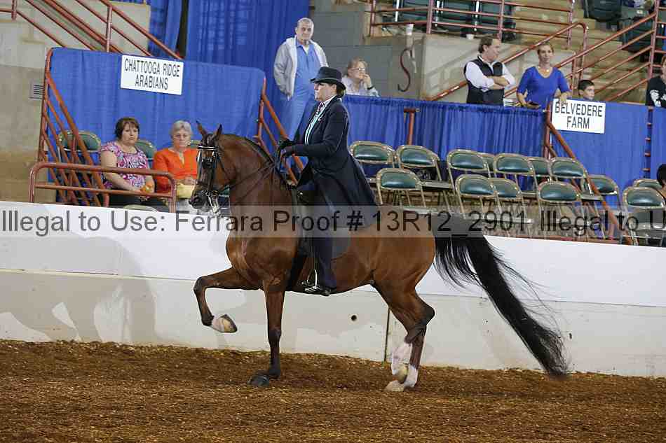Proof 13r12_2901