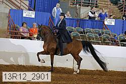 13r12_2901 proof