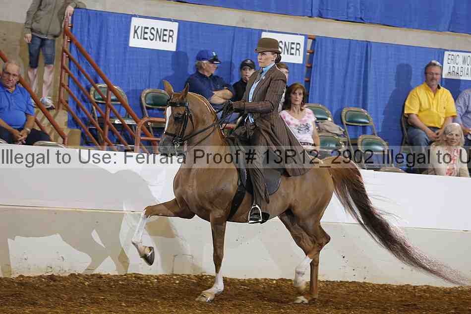 Proof 13r12_2902