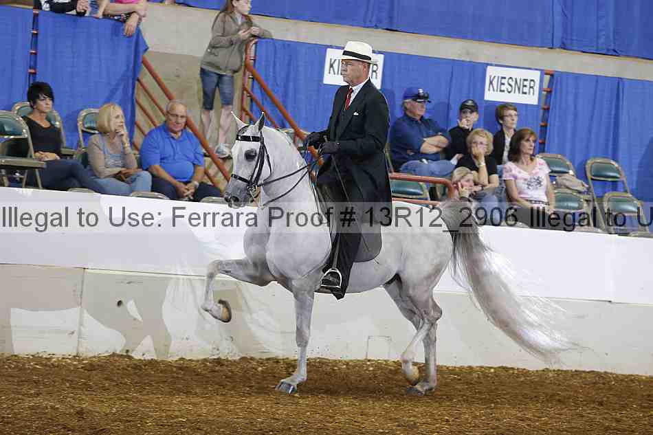 Proof 13r12_2906