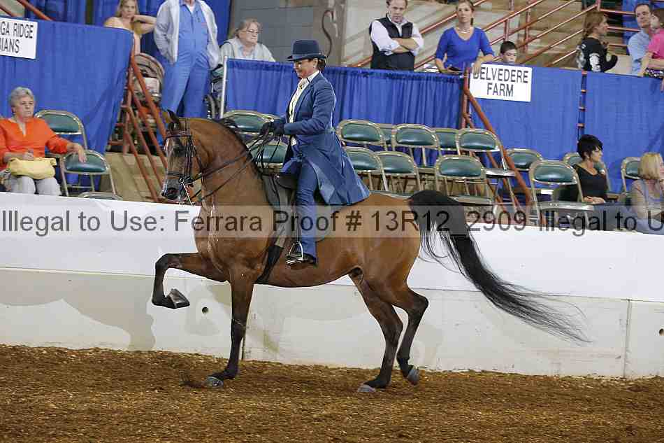 Proof 13r12_2909