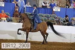 13r12_2909 proof
