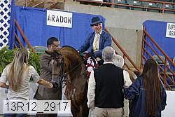 13r12_2917 proof