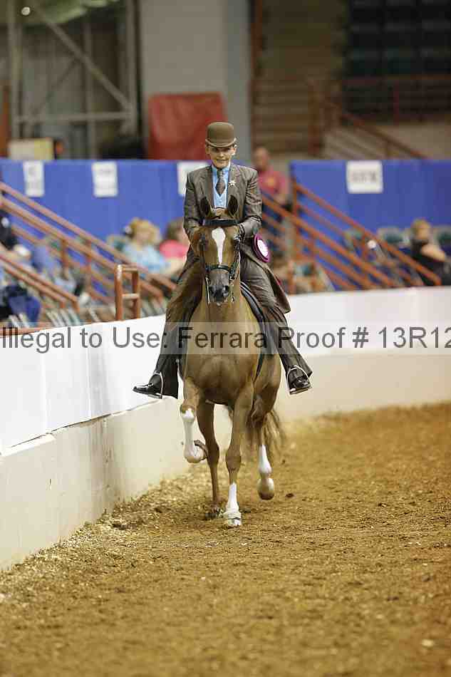 Proof 13r12_2929