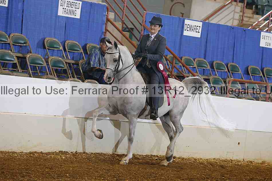 Proof 13r12_2932