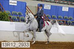 13r12_2933 proof