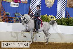 13r12_2934 proof