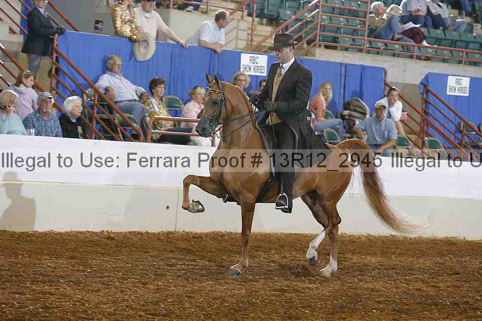 Proof 13r12_2945