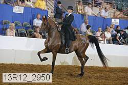 13r12_2950 proof