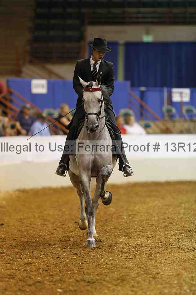 Proof 13r12_2963