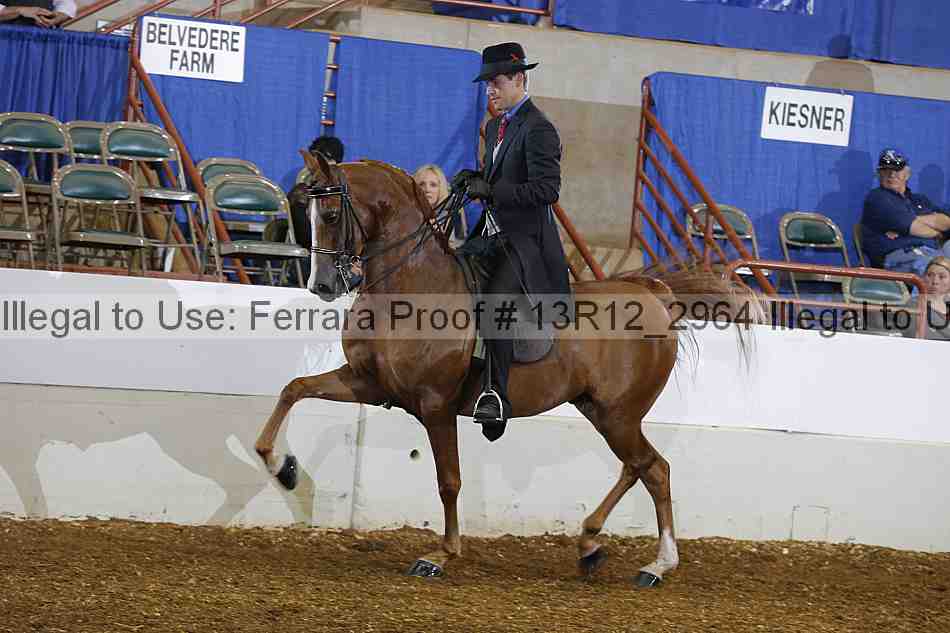 Proof 13r12_2964