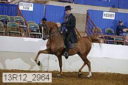 13r12_2964 proof