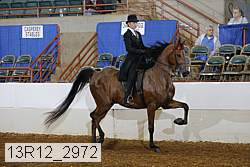 13r12_2972 proof