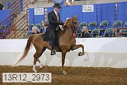 13r12_2973 proof