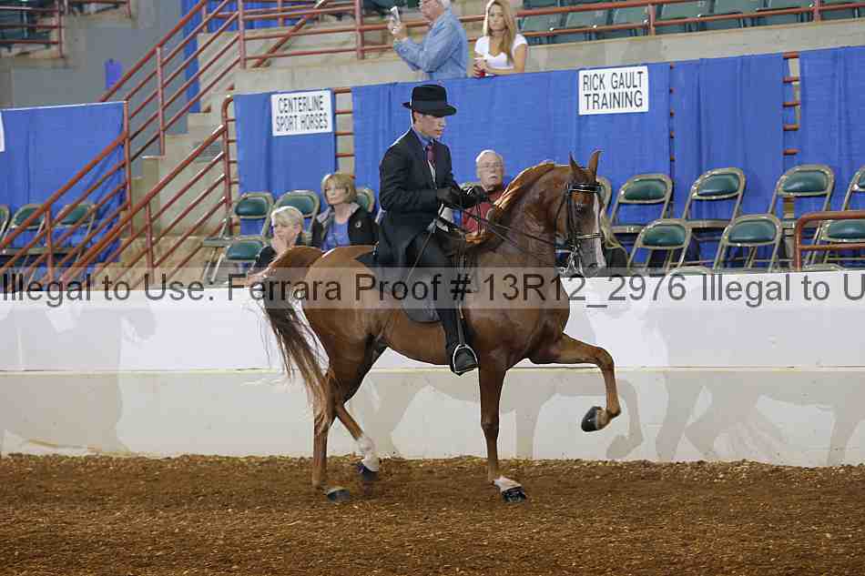 Proof 13r12_2976