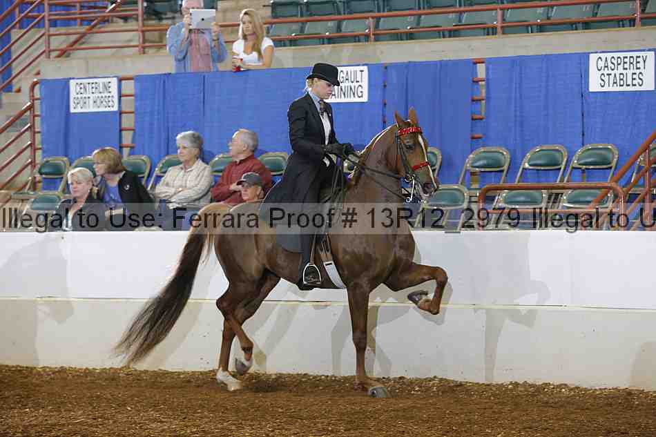 Proof 13r12_2979