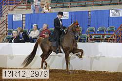 13r12_2979 proof