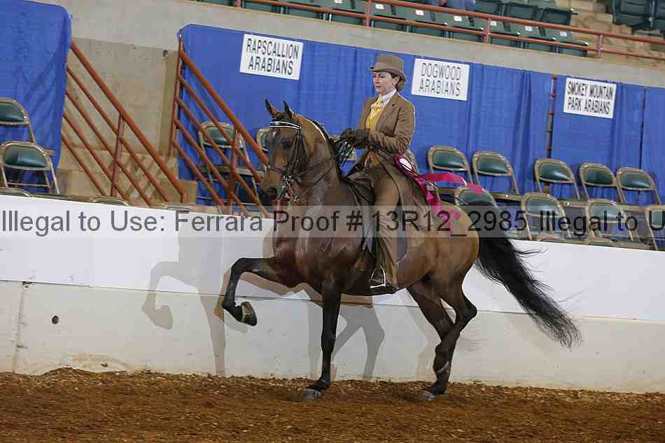 Proof 13r12_2985