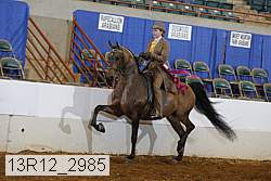 13r12_2985 proof