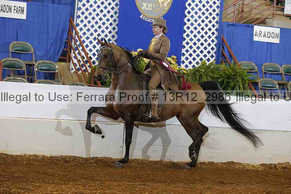 Proof 13r12_2986