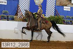 13r12_2986 proof