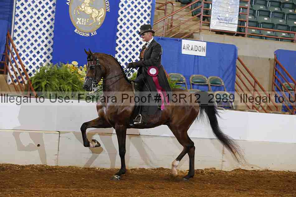 Proof 13r12_2989
