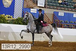 13r12_2990 proof