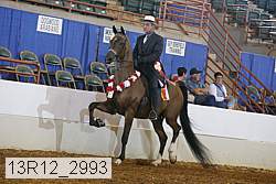 13r12_2993 proof