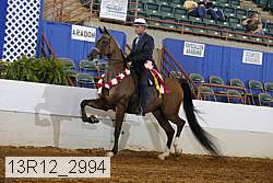 13r12_2994 proof