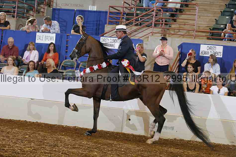 Proof 13r12_2995