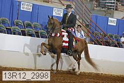 13r12_2998 proof