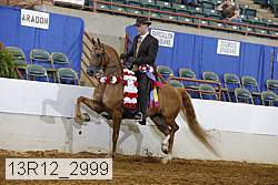 13r12_2999 proof