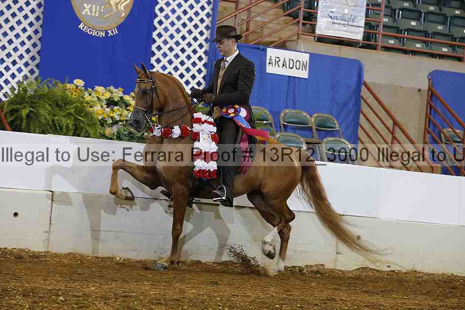 Proof 13r12_3000