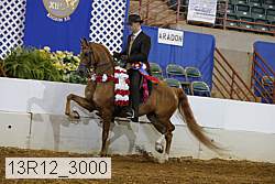13r12_3000 proof