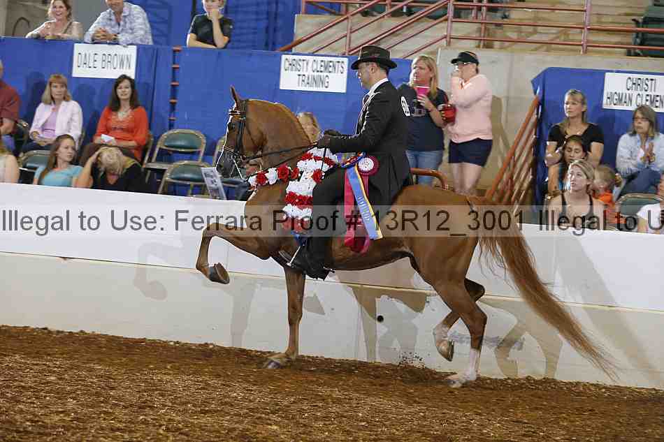 Proof 13r12_3001