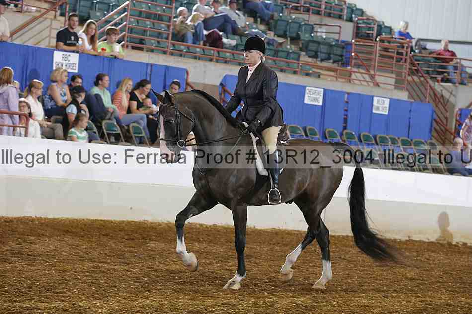 Proof 13r12_3004