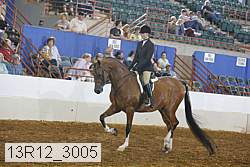 13r12_3005 proof