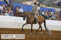 13r12_3009 proof
