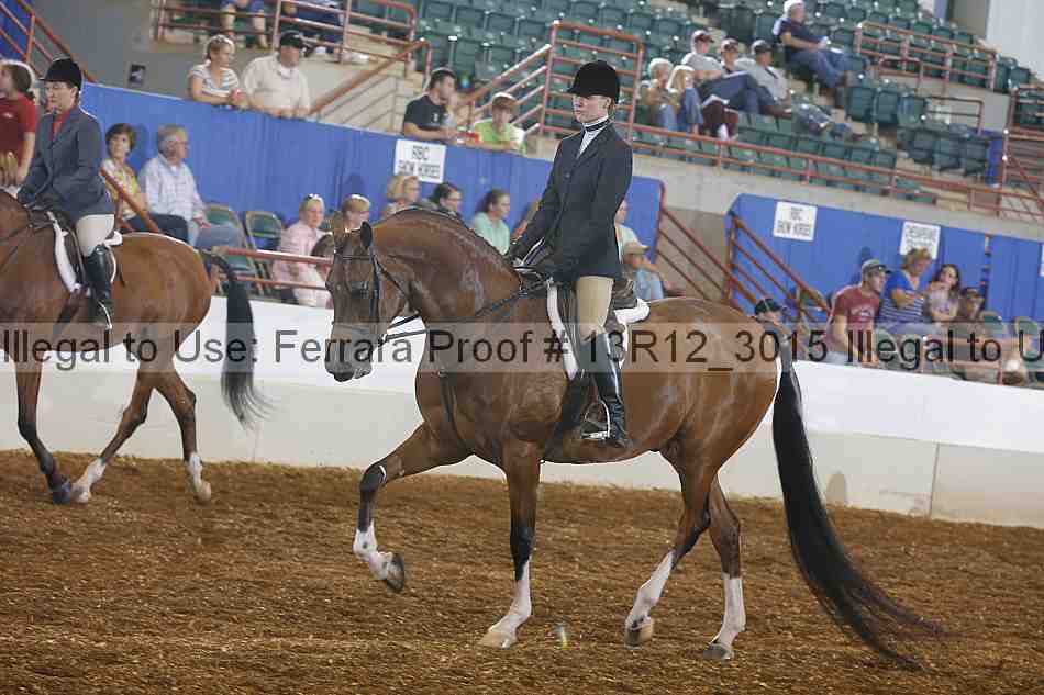 Proof 13r12_3015