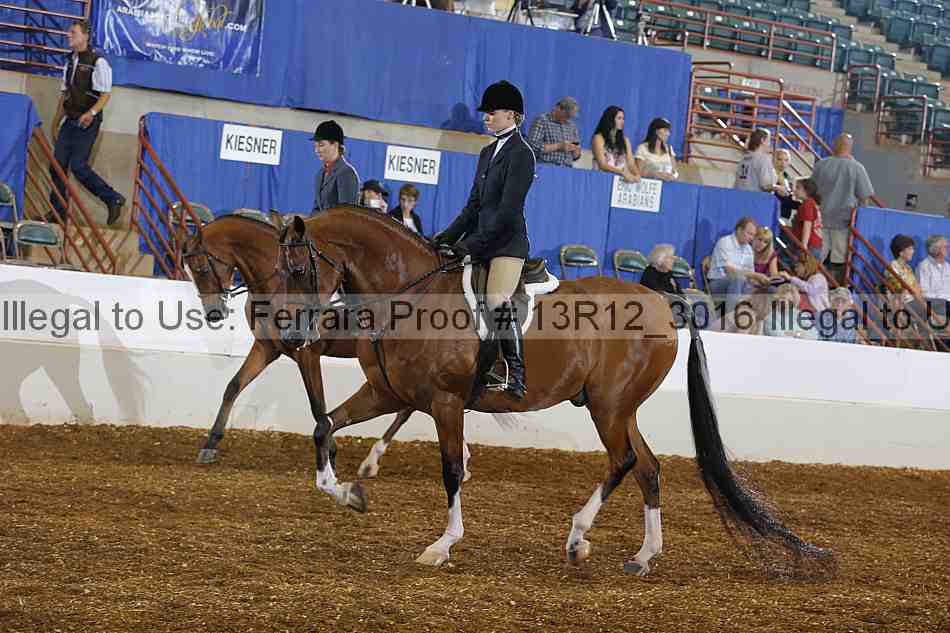 Proof 13r12_3016