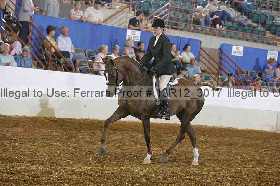 Proof 13r12_3017