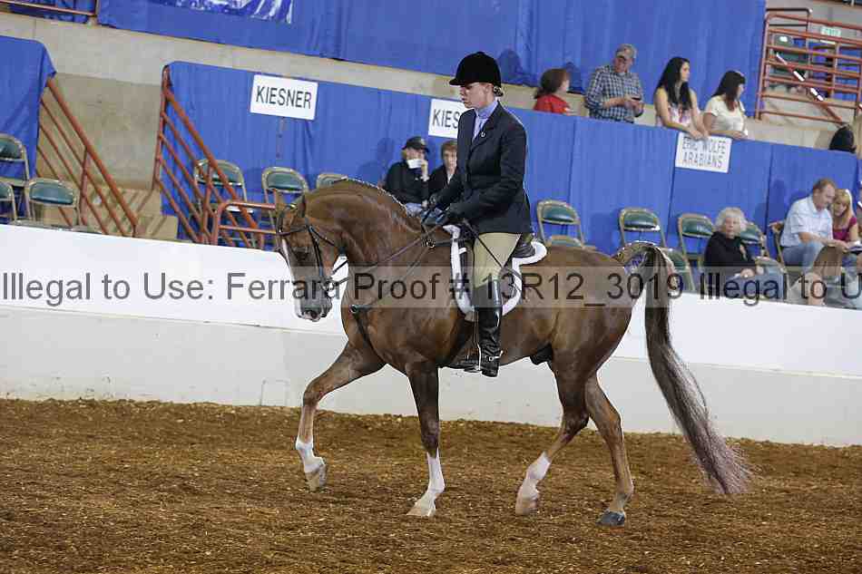 Proof 13r12_3019